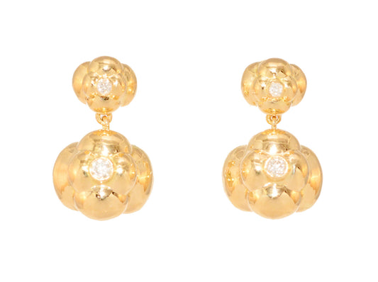 Halo Drop Earring