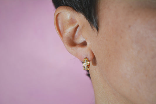 Zig Zag Earrings